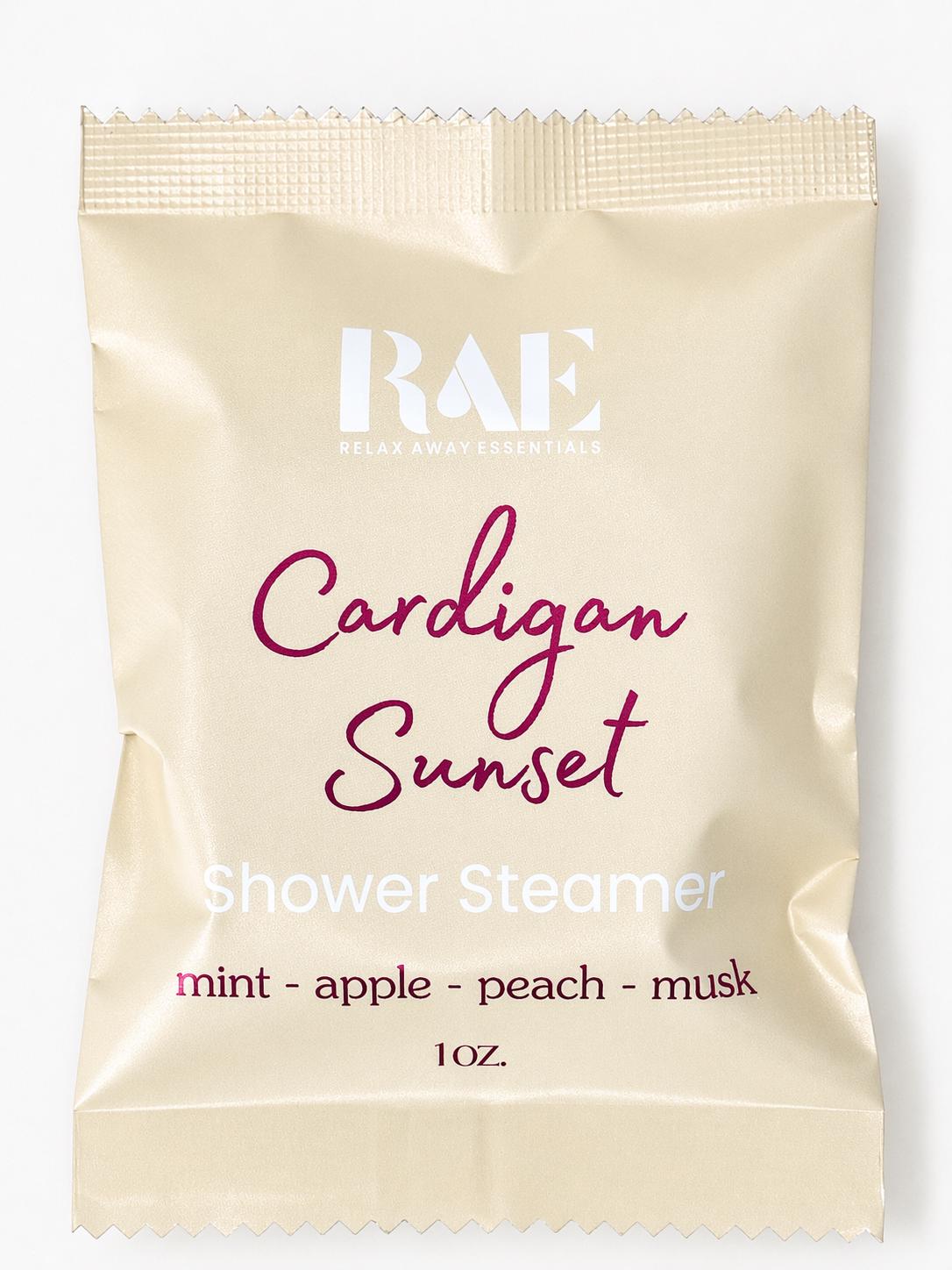 Fall Feels Shower Steamers | 6 Pack | Aromatherapy | Essential Oils | Fall | Spa Gift | Shower Bomb |